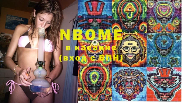 шишки Пересвет